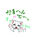 慶n.のオッドアイ白猫(関西弁バージョン)（個別スタンプ：33）
