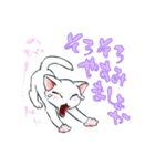 慶n.のオッドアイ白猫(関西弁バージョン)（個別スタンプ：35）