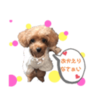 animals-7（個別スタンプ：2）