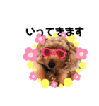 animals-7（個別スタンプ：3）