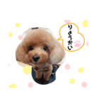 animals-7（個別スタンプ：4）