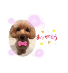 animals-7（個別スタンプ：5）