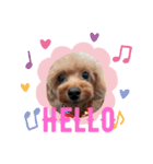 animals-7（個別スタンプ：7）