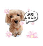 animals-7（個別スタンプ：8）