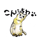 水彩画 猫 夏編（個別スタンプ：1）
