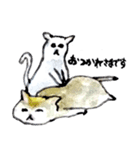 水彩画 猫 夏編（個別スタンプ：7）