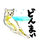 水彩画 猫 夏編（個別スタンプ：8）