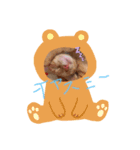 小麦にゃん（個別スタンプ：2）