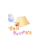 夏仕様 いちごだいふくちゃんの旅（個別スタンプ：6）