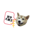 ママがごめんなさい（個別スタンプ：1）