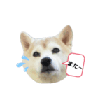 ママがごめんなさい（個別スタンプ：2）
