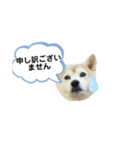 ママがごめんなさい（個別スタンプ：3）