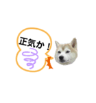 ママがごめんなさい（個別スタンプ：4）