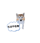 ママがごめんなさい（個別スタンプ：5）
