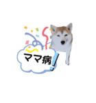 ママがごめんなさい（個別スタンプ：7）