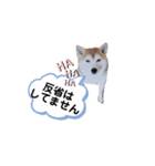 ママがごめんなさい（個別スタンプ：8）