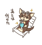 チワワ（チョコタン）のマナちゃん【夏】（個別スタンプ：2）