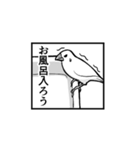 一コマ文鳥スタンプ（個別スタンプ：19）