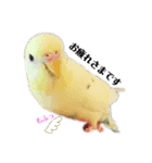 うちのスズ飼いませんか？2（個別スタンプ：5）