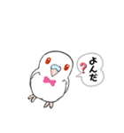 セキセイちゃんズ（個別スタンプ：4）