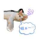 トラチワちゃん♡♡♡（個別スタンプ：2）