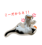 トラチワちゃん♡♡♡（個別スタンプ：7）