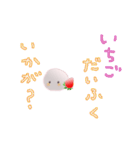 いちごだいふくちゃんの旅3（個別スタンプ：7）