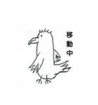 ボサボサガラス（個別スタンプ：3）