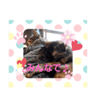 猫らぶ③（個別スタンプ：6）
