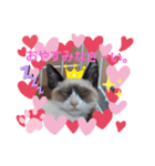 猫らぶ③（個別スタンプ：8）