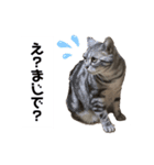 メリちゃんスタンプ♡（個別スタンプ：2）