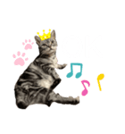 メリちゃんスタンプ♡（個別スタンプ：5）