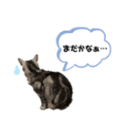 メリちゃんスタンプ♡（個別スタンプ：7）