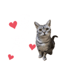 メリちゃんスタンプ♡（個別スタンプ：8）