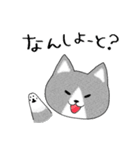 ハチワレ博多ねこ（個別スタンプ：24）