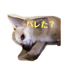 慎之介が行く（個別スタンプ：4）