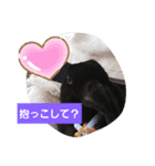 ちびちゃん、はやとくん、しろくろの表情（個別スタンプ：4）