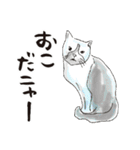 チルウェイブな女子いらすと（個別スタンプ：13）