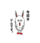 カチーナさん（version2）（個別スタンプ：19）