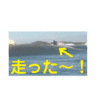 月一ノルマサーファー（個別スタンプ：21）