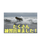 月一ノルマサーファー（個別スタンプ：24）