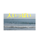 月一ノルマサーファー（個別スタンプ：28）