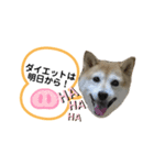 roco_roco_roco（個別スタンプ：2）