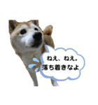 roco_roco_roco（個別スタンプ：6）