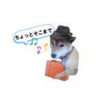 仲良し、お空組！（個別スタンプ：1）