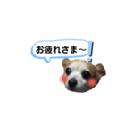 仲良し、お空組！（個別スタンプ：2）