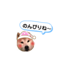 仲良し、お空組！（個別スタンプ：3）