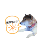 仲良し、お空組！（個別スタンプ：5）