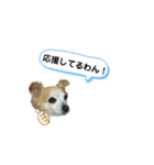 仲良し、お空組！（個別スタンプ：6）