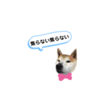 仲良し、お空組！（個別スタンプ：7）